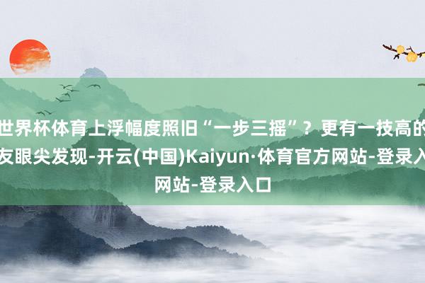 世界杯体育上浮幅度照旧“一步三摇”?更有一技高的网友眼尖发现-开云(中国)Kaiyun·体育官方网站-登录入口