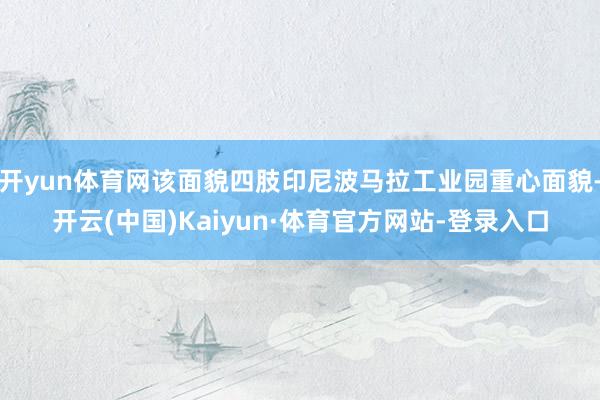 开yun体育网该面貌四肢印尼波马拉工业园重心面貌-开云(中国)Kaiyun·体育官方网站-登录入口